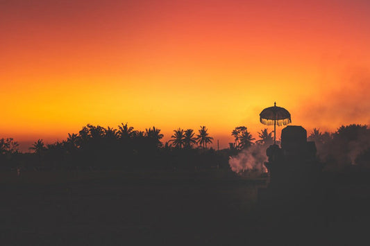 Nev Future Shapes Has Landed in Bali!
