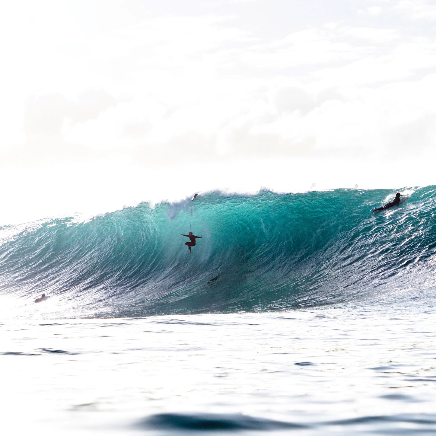 6FT REEF QUICK RELEASE ONE-XT